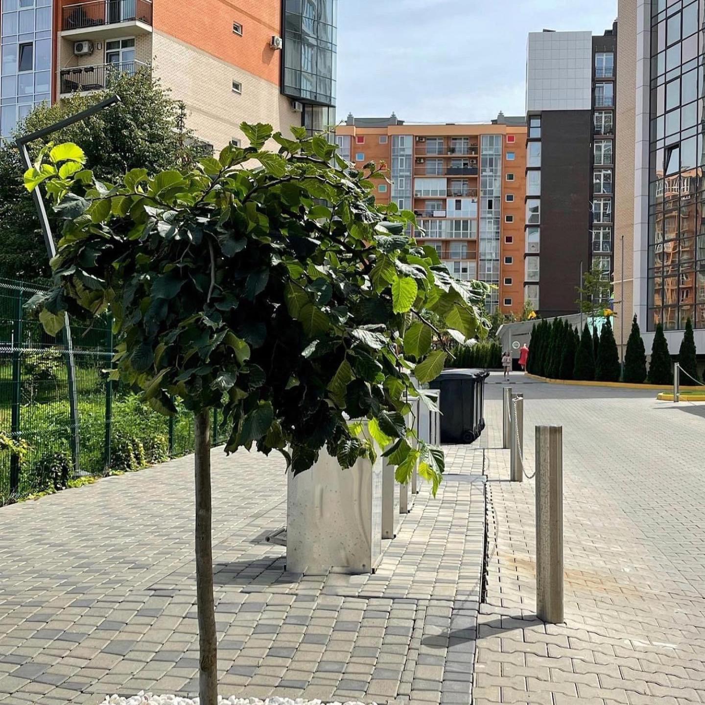 Vodogray Luxury Apartments With Underground Parking Елітний Житловий Комплекс 切尔诺夫策 外观 照片