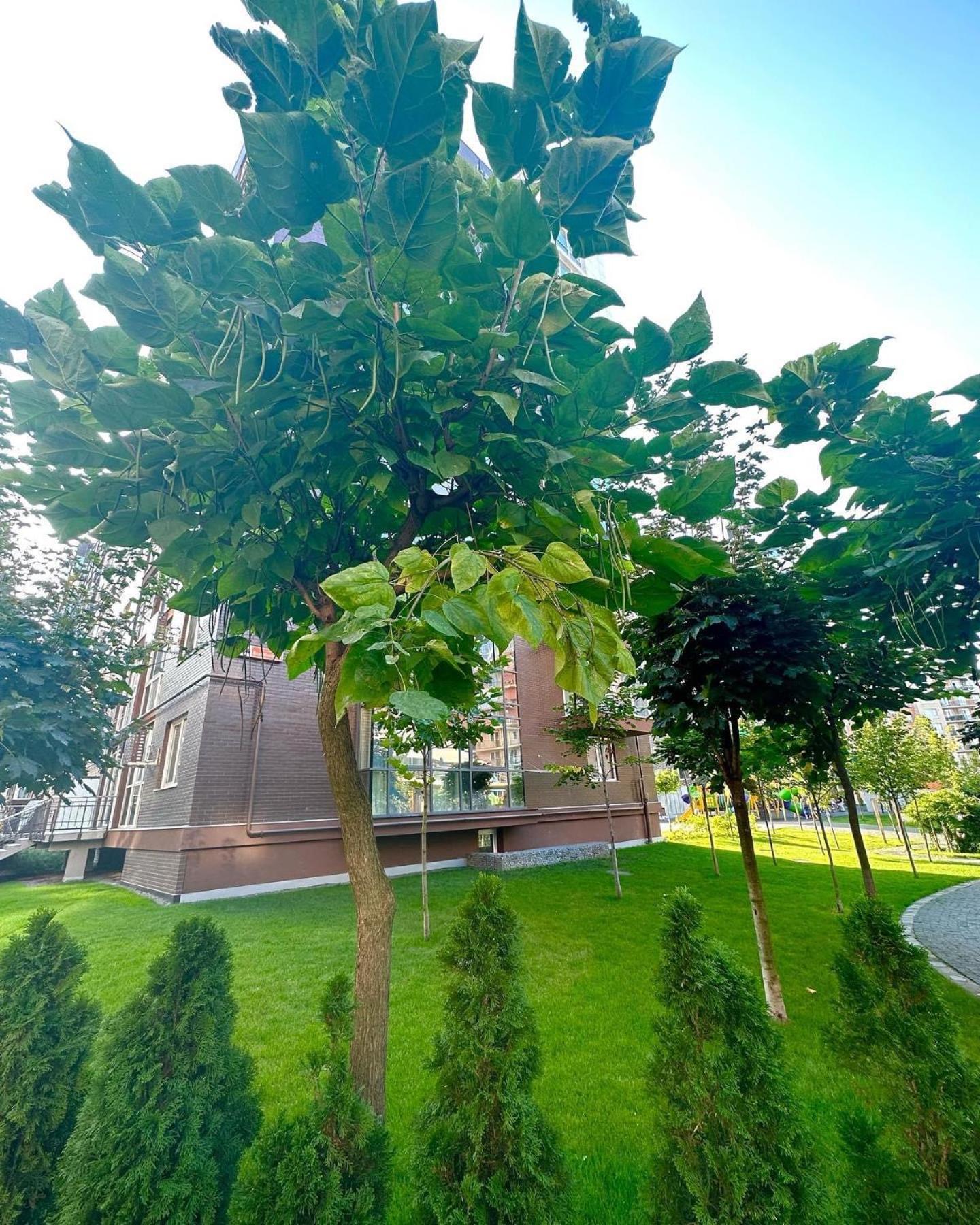 Vodogray Luxury Apartments With Underground Parking Елітний Житловий Комплекс 切尔诺夫策 外观 照片